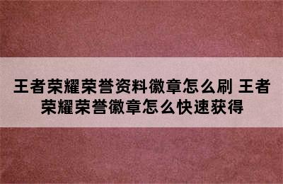 王者荣耀荣誉资料徽章怎么刷 王者荣耀荣誉徽章怎么快速获得